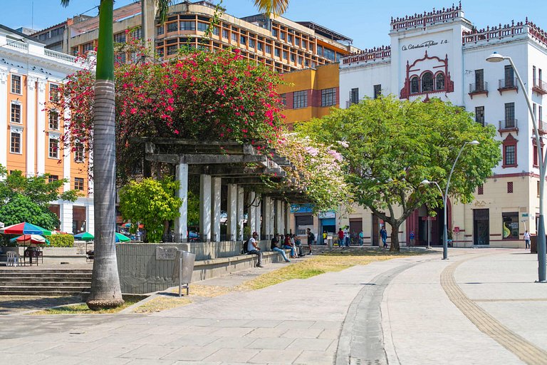 E202 • Estudio en el maravilloso y accesible a pie barrio de